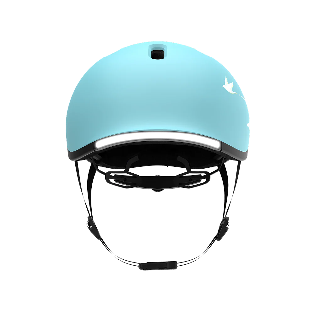 Thumbnail 63